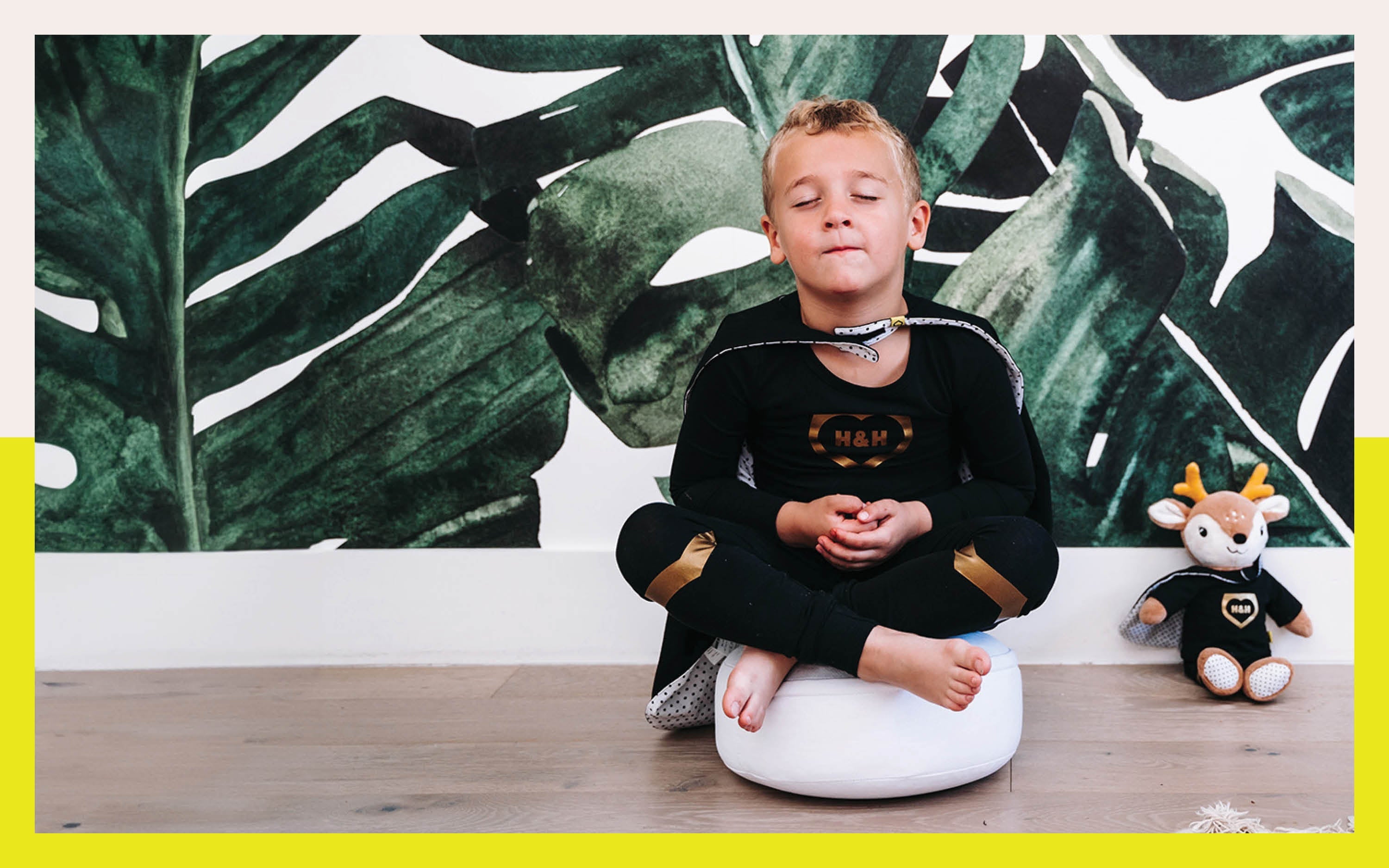 Introducing the Hero Mindset: